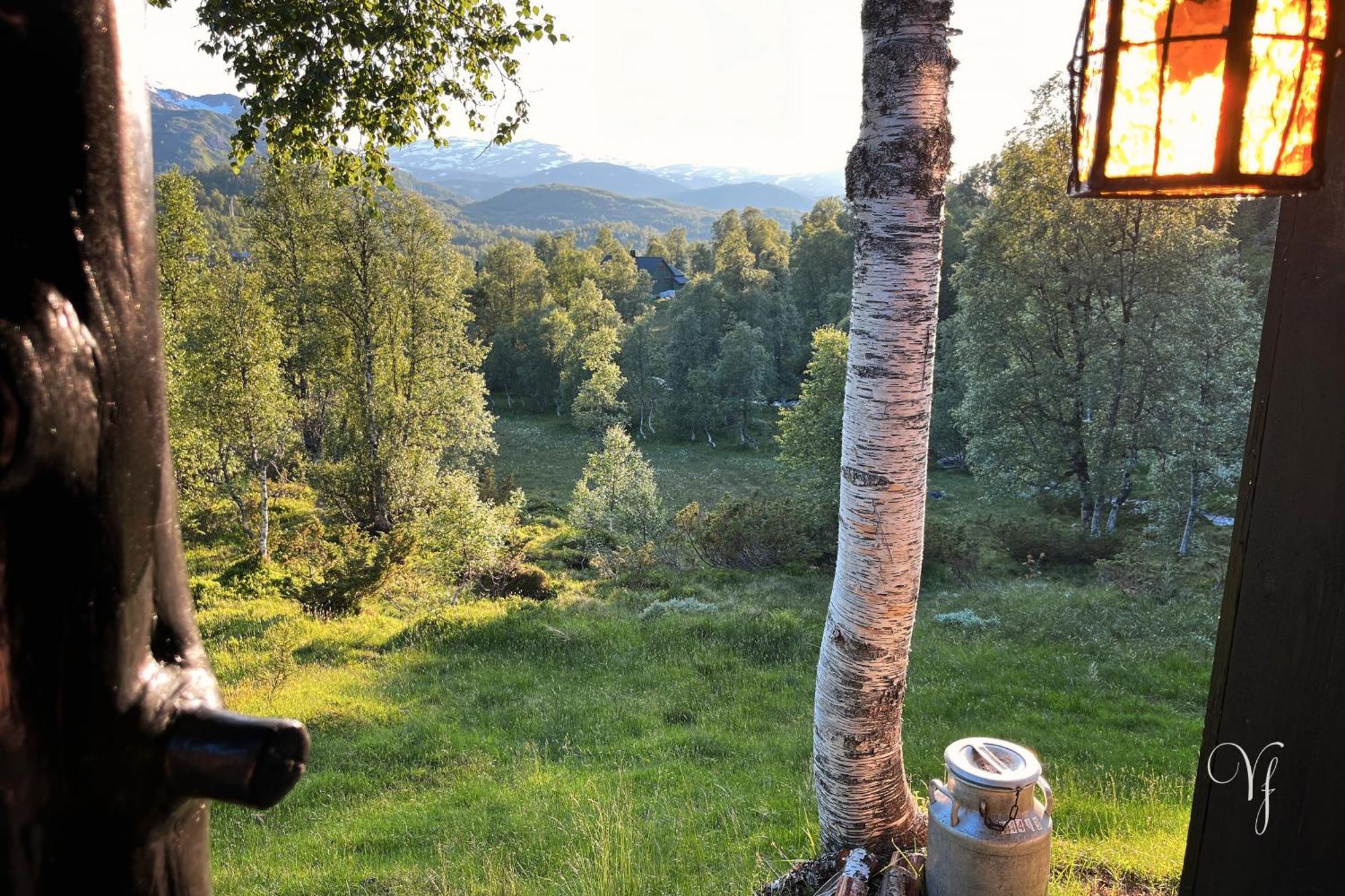 Semesterbostad Waterfalls - Norway Mountain & Traveller Award Winner!