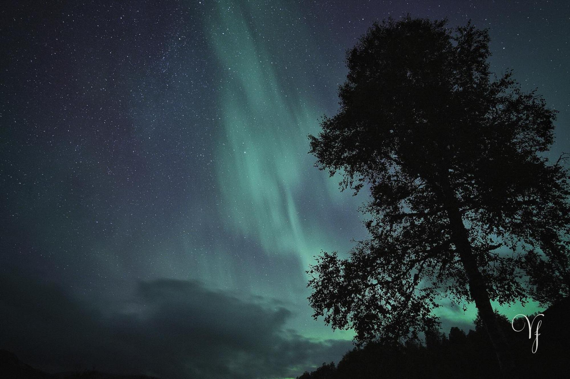 Waterfalls - Norway Mountain & Traveller Award Winner! Semesterbostad Voss