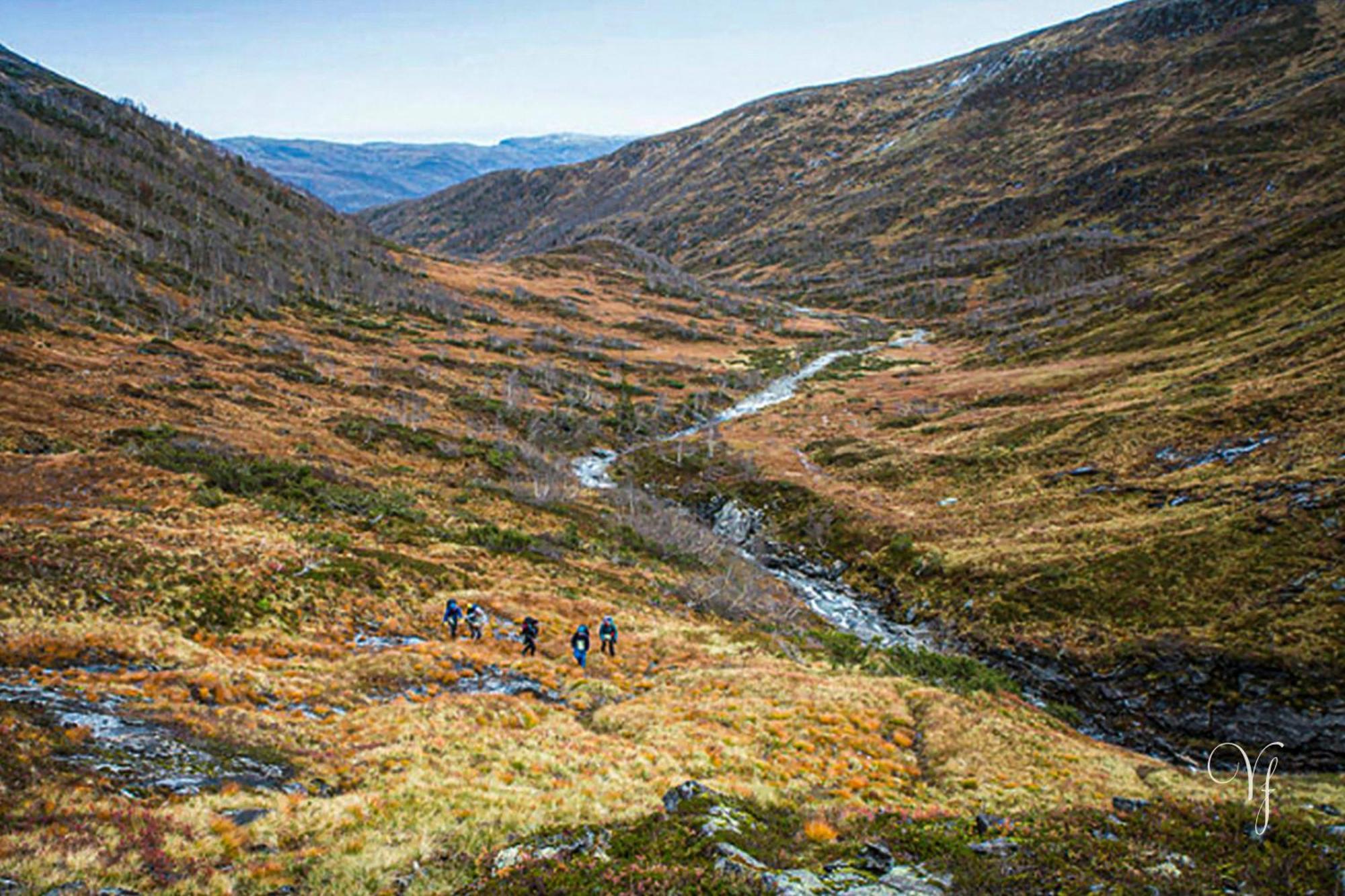 Semesterbostad Waterfalls - Norway Mountain & Traveller Award Winner! Voss