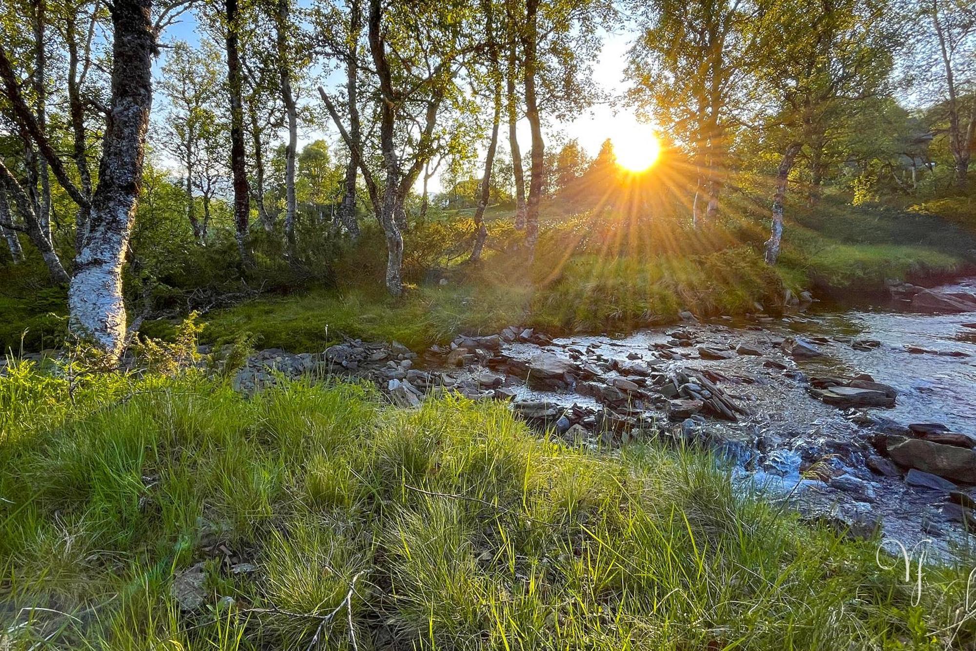Waterfalls - Norway Mountain & Traveller Award Winner! * Voss