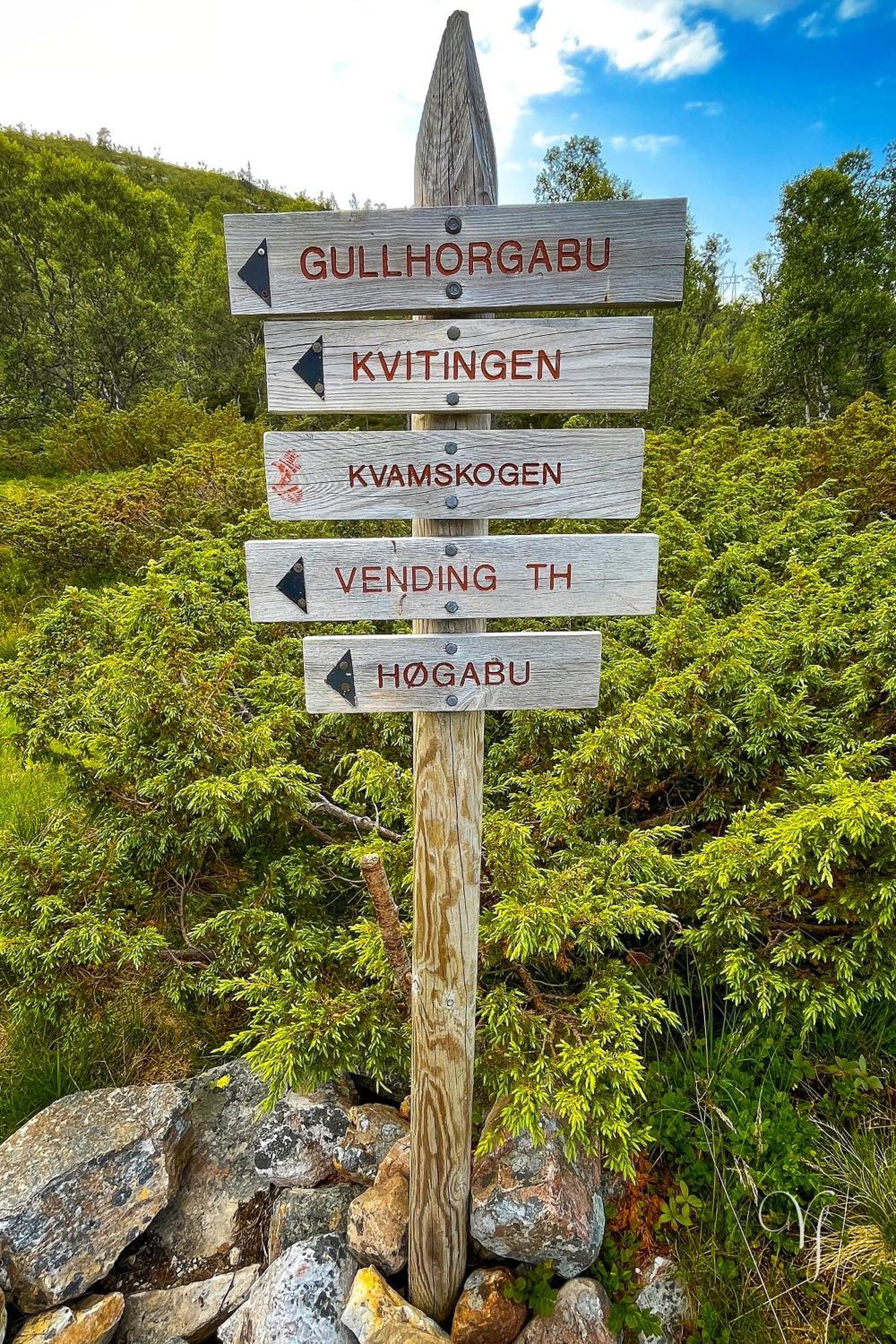 Semesterbostad Waterfalls - Norway Mountain & Traveller Award Winner! Voss